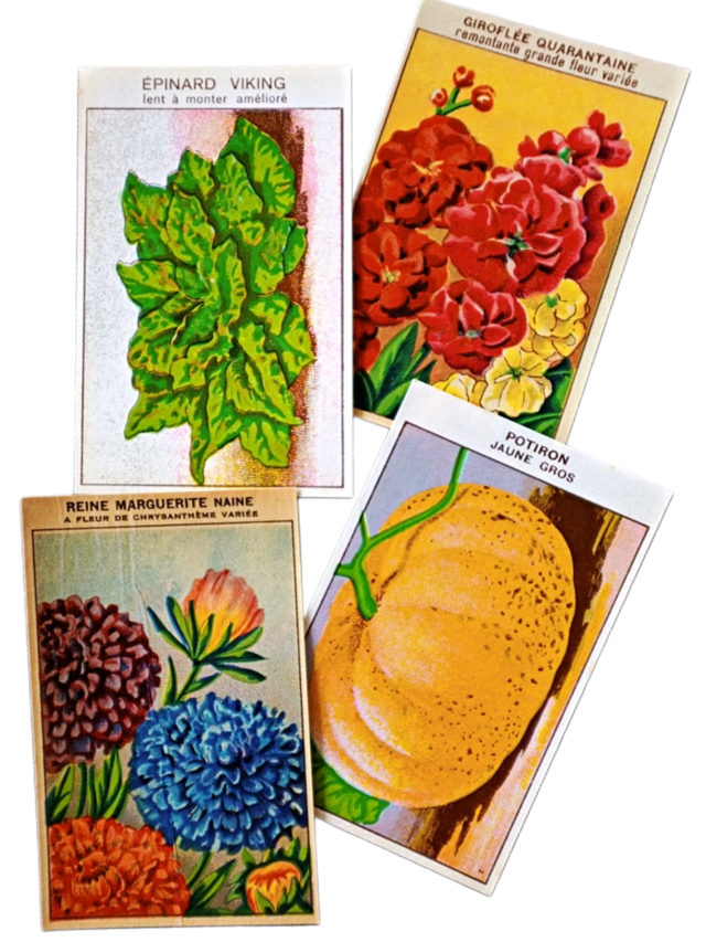 20s フランス ４set 膨満な花々と野菜たち 種子袋用ラベルp アンティーク