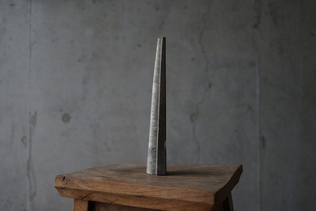 湖北省産頭足類化石 Sinoceras chinense 1662