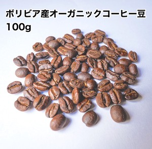 酸味の少ない　ボリビア産オーガニックコーヒー豆100g 自家焙煎 KAGOYA COFFEE 【送料無料】【ポスト投函】