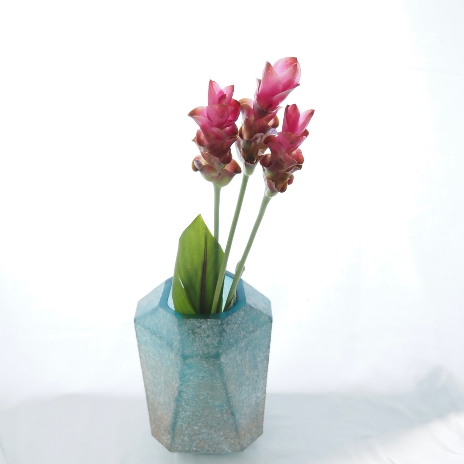 PTMD 花器 フラワーベース PTMD】フラワーベース メタリックブルー | hanavie