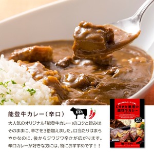 てらおか風舎能登牛カレー(辛口)【BASE-21】