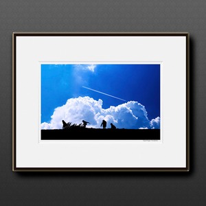 夏の騎士 〜真夏の冒険 〜　■額縁サイズ（大全紙）726×544mm