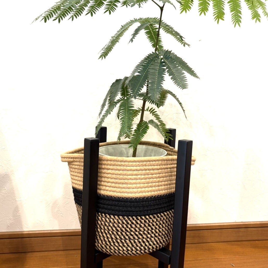 バスケットmini