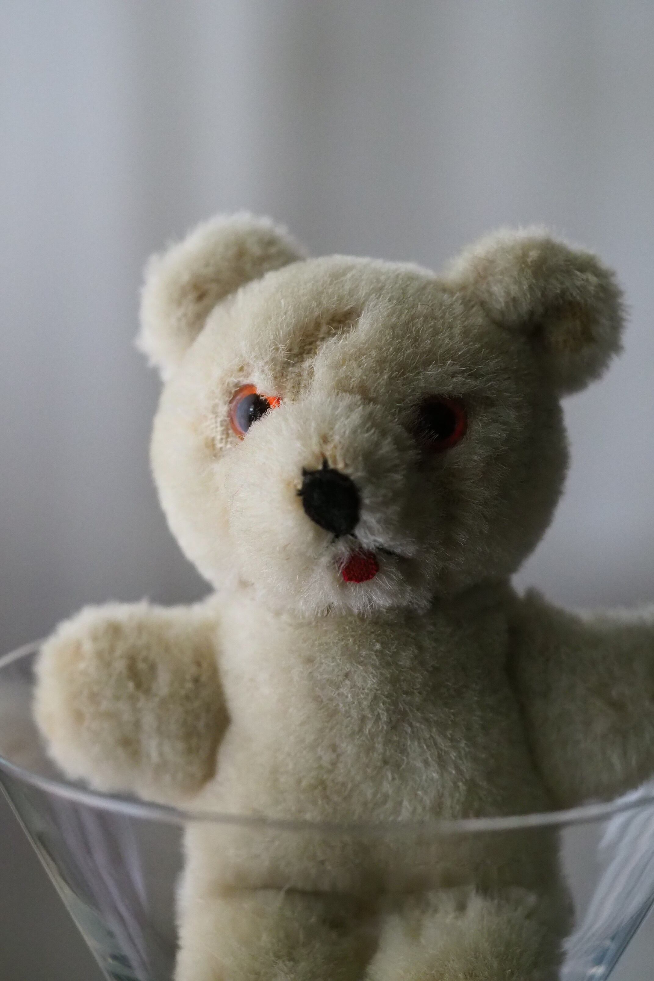 ミニマルなシロクマ-vintage teddy bear | アンティーク.ヴィンテージ