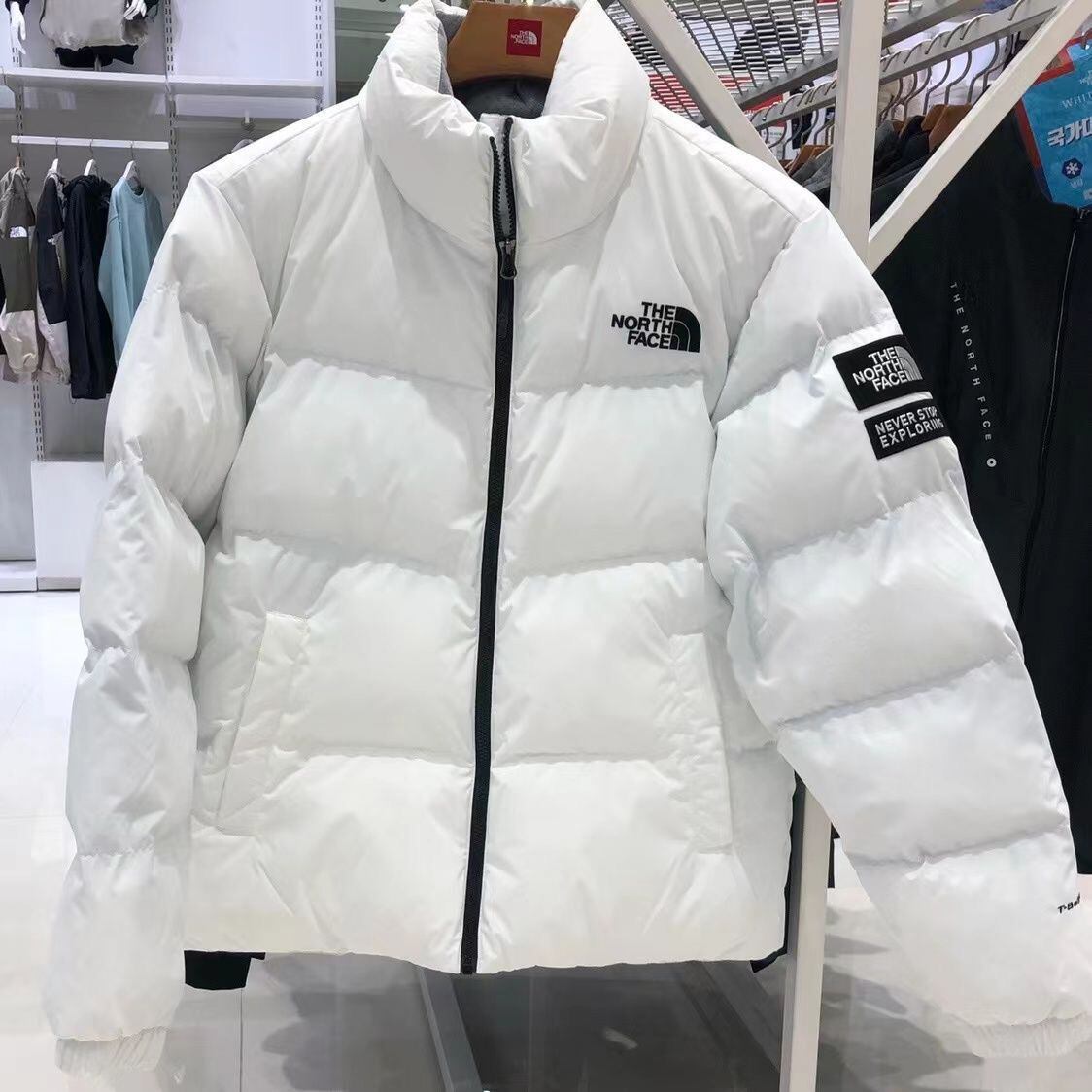 THE NORTH FACEASPEN EX ON BALL JACKET   DK大黒通販店