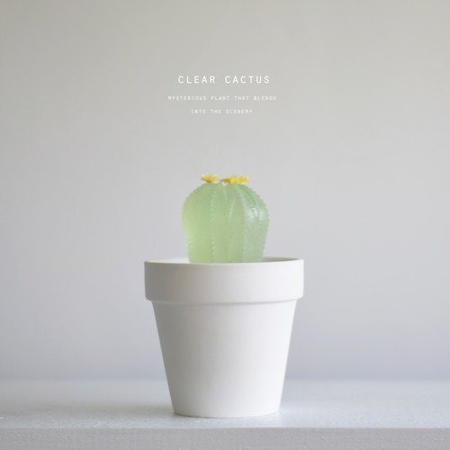 clear cactus オベサ