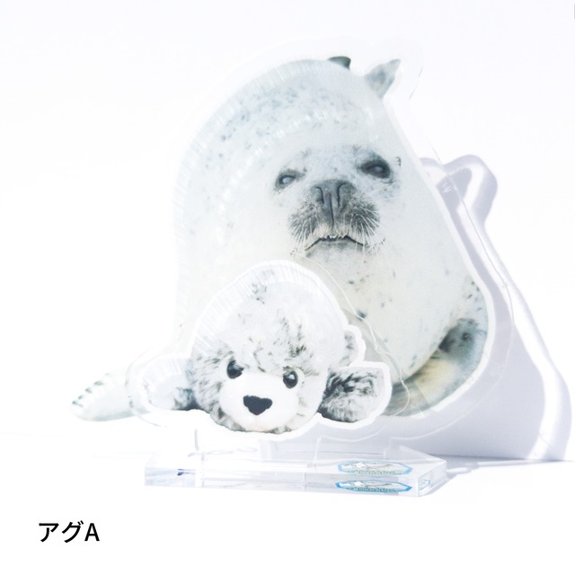 アクリルスタンド あぐ ひより アザラシシーパラダイス 公式 アザラシシーパラダイスグッズショップ