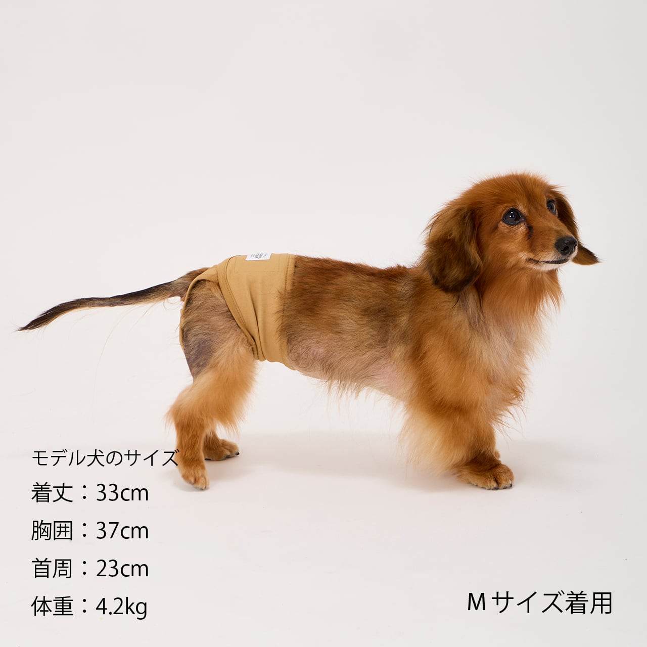 MANNER PANTS（S.M.L）マナーパンツ | MANDARINE BROTHERS マンダリン