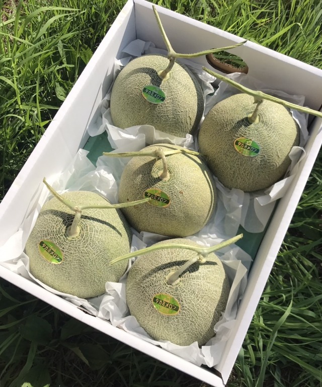 タカミメロン Sサイズ 秀品3玉（計約5kg）