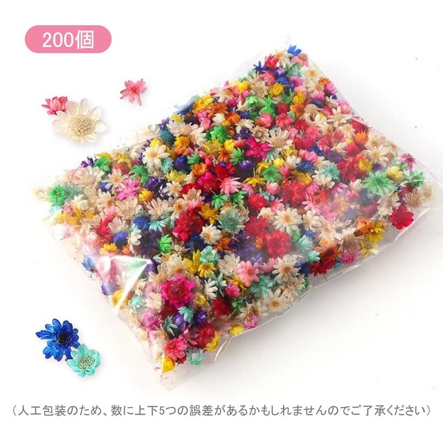 GOODCHI スターフラワー ドライフラワー 200個入り 小花 シンプル 天然 花材 押し花 花びら 飾り DIY用 手作り用 (ダークカラー)