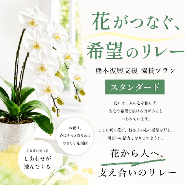 花がつなぐ希望のリレー｜フラワーリレープロジェクト〈スタンダード〉｜送料込み｜生花・鉢｜生産者支援｜被災地復興支援｜フラワーロス削減