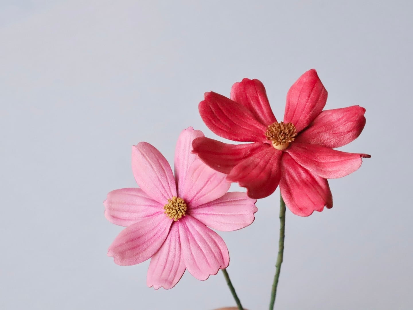 革花型紙】秋桜（コスモス）セット（花弁＋ガク）｜レザーフラワー専用