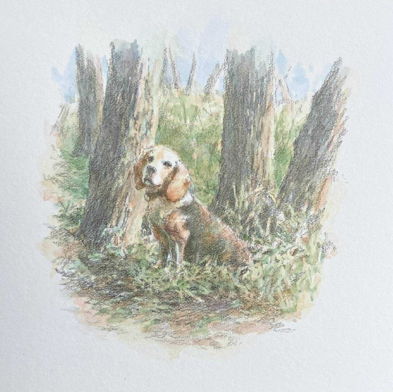 ぜんぶ知ってる