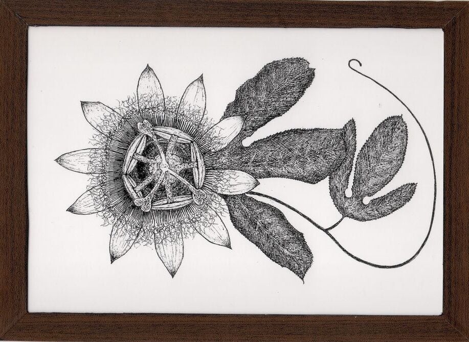 ミミズク フクロウの絵 インテリア 絵画 鳥の絵 モノクロアート ペン画