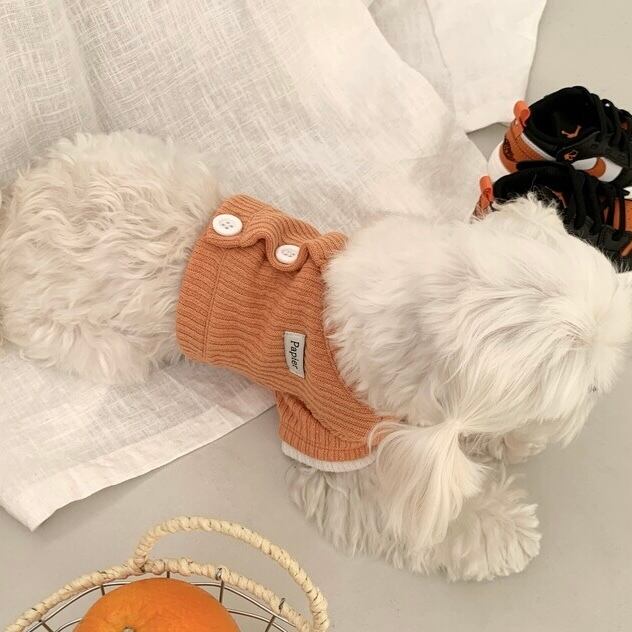 papier】 | ropet