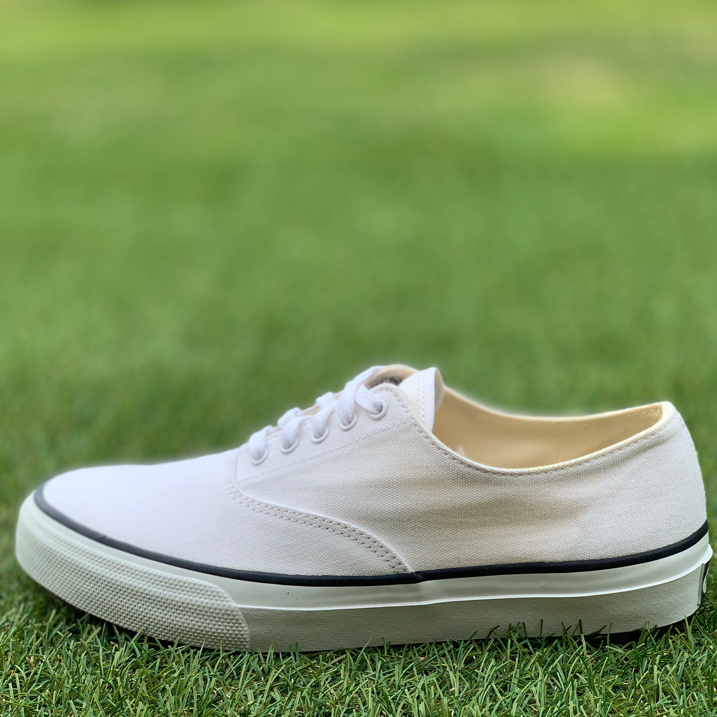 SPERRY TOP SIDER CLOUD CVO スペリー トップサイダー クラウド キャンバスオックスフォード B443