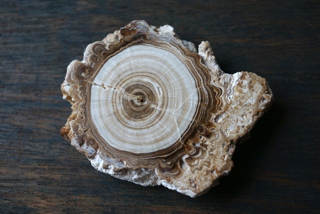 モロッコ産カルサイト/アラゴナイト Calcite / Aragonite 1638