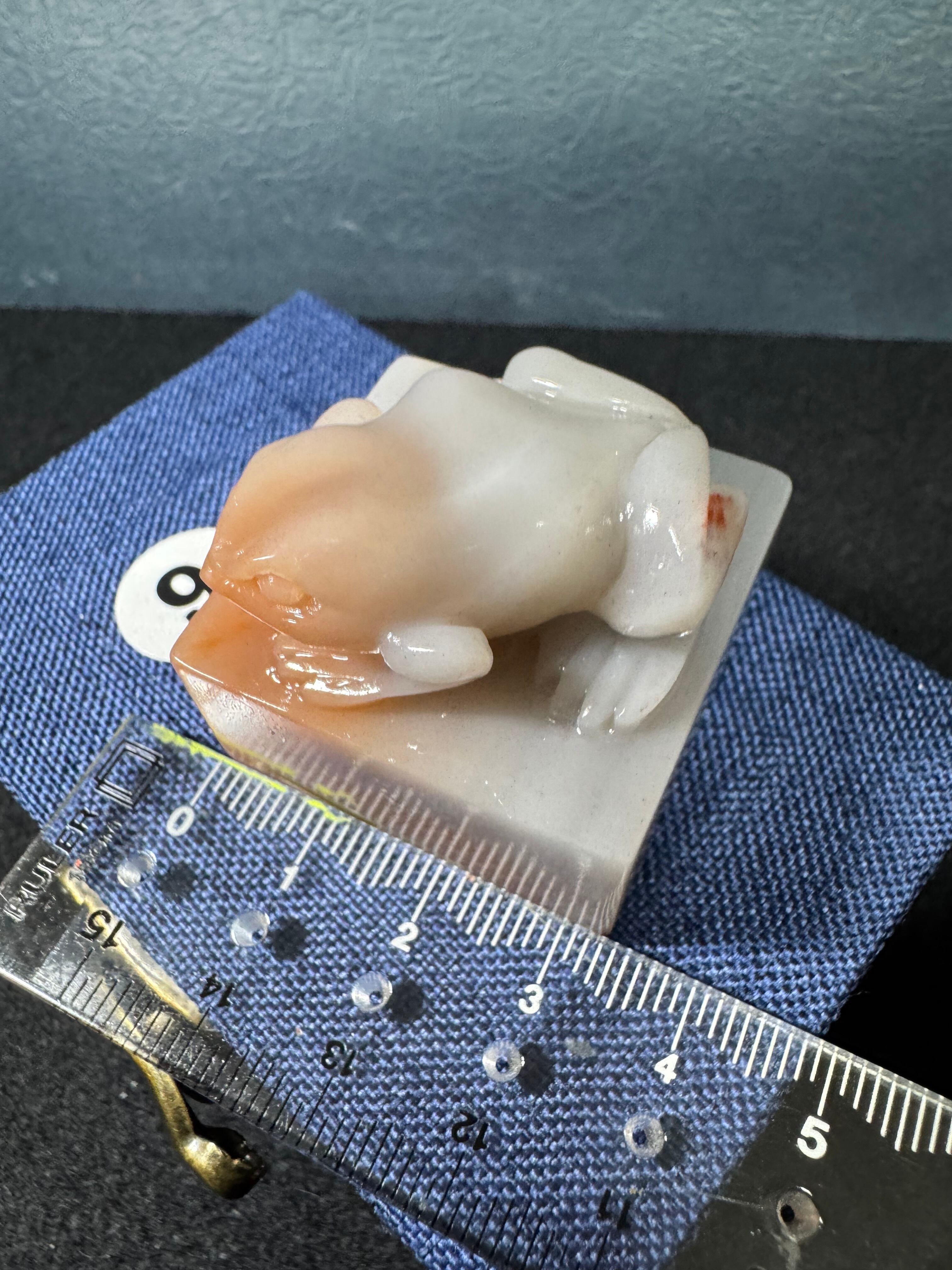 ラオス印材⑨ 青蛙33×33×30㎜ お得‼️ | 篆刻 松尾碩甫商店