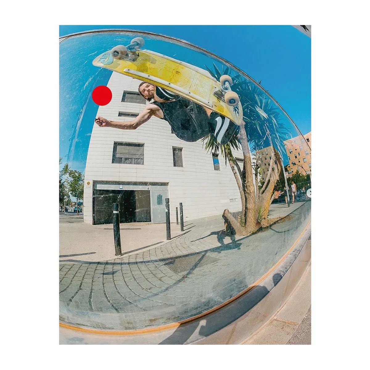 FREE SKATE MAG / issue57(NOV DEC 2024)