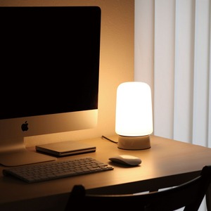 コラムライト オーバル