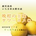 サワーポメロ　ご家庭用・約１０Kg　送料無料！