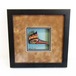 Kingfisher hsadow box frame by Paddy Seaweed