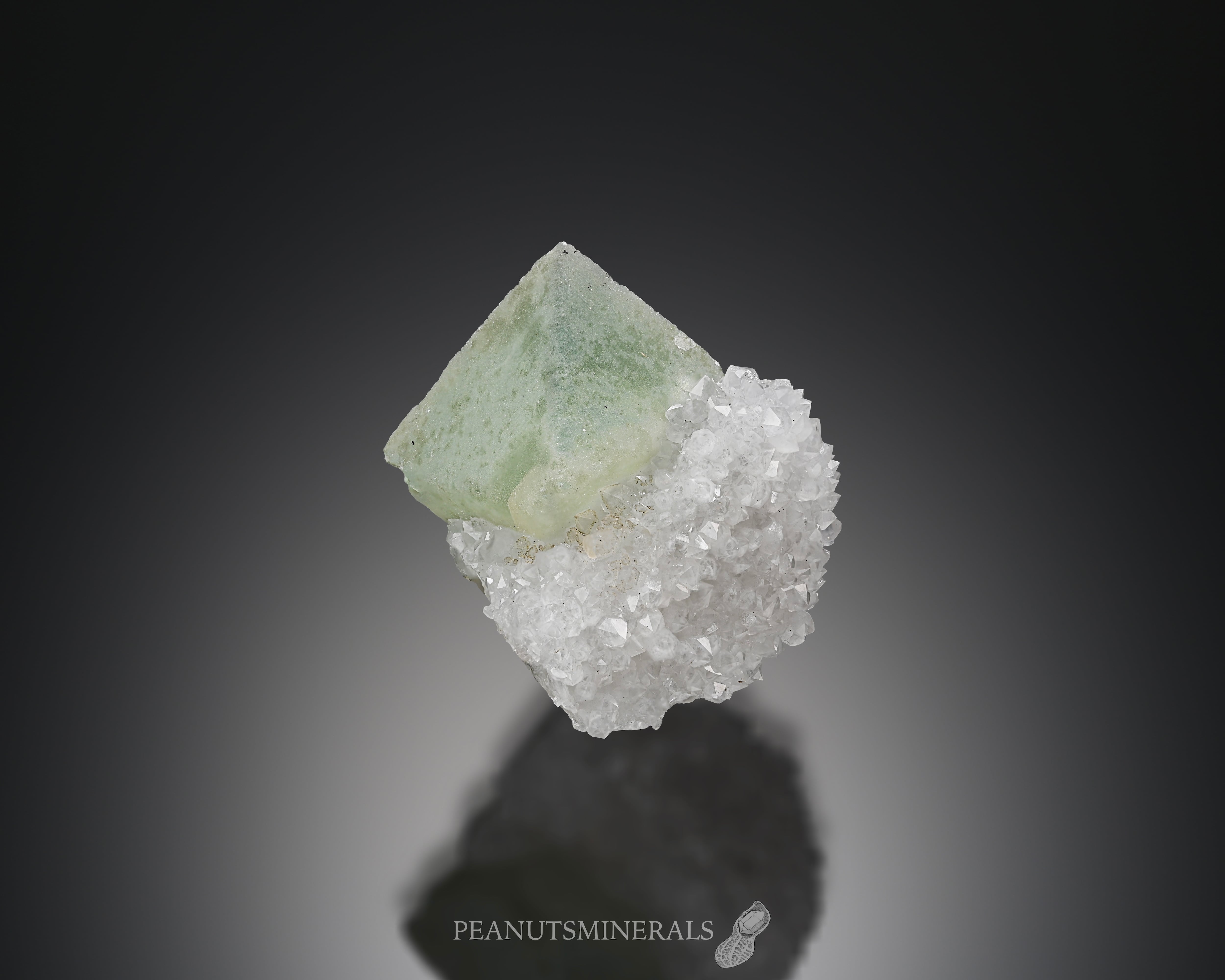 フローライト/クォーツ【Fluorite on Quartz】中国産 | PEANUTS MINERALS