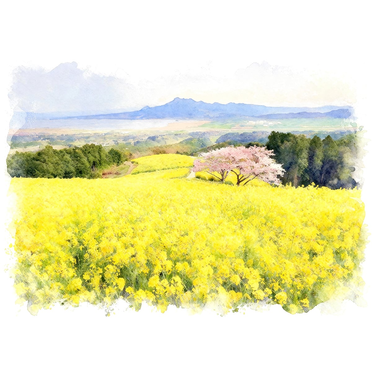 絵画 風景画 日本 長崎県 諫早市 白木峰高原 インテリアアート額付き 水彩画風 WAT1757