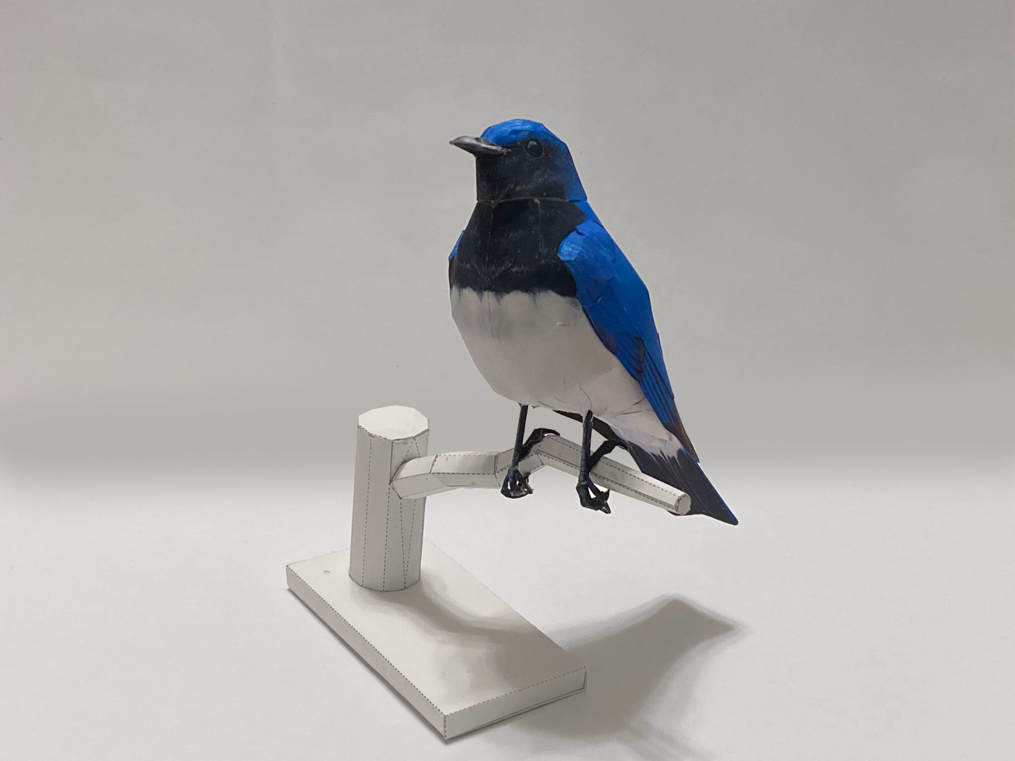 オオルリペーパークラフト | 紙鳥屋