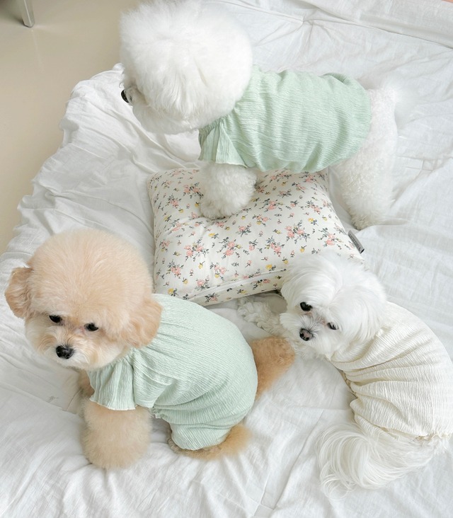 〈即納アイテム〉 EYOU ピュアロマンティックワンピース(アイボリー)