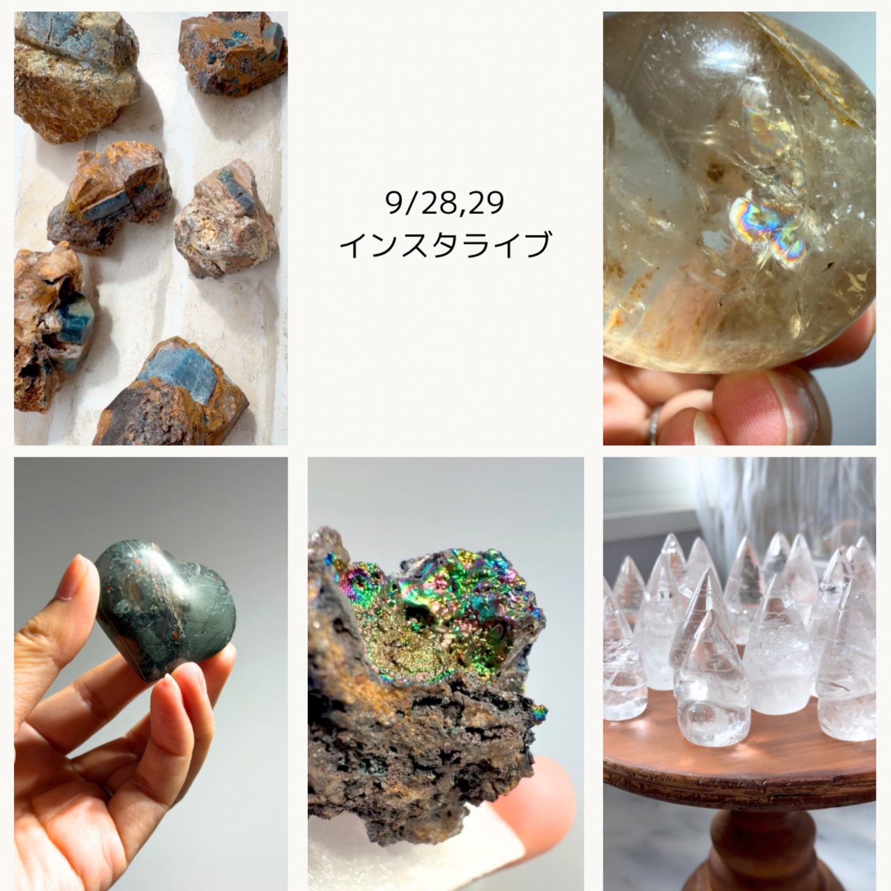 teddyさま専用出品 9/28,29ライブ分