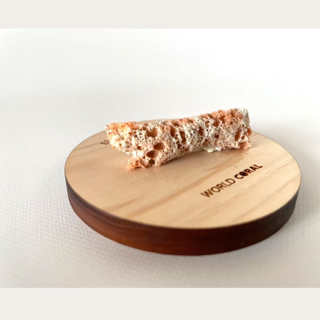 Sleeping Coral 宝石珊瑚と土佐ヒノキのアロマオイルの Sleeping Coral 宝石珊瑚と土佐ヒノキのアロマオイルの
