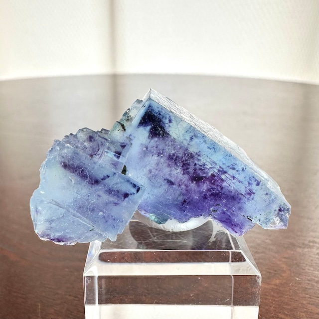 フローライト / クローライト / アルセノパイライト【Fluorite on Chlorite with Arsenopyrite】中国産