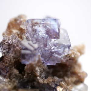 ヤオガンシャン産 フローライト 共生 / 原石 標本【C_3】