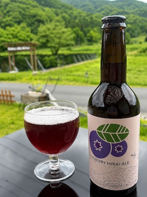 ブルーベリーミライエール３本セット（ブルーベリーのクラフトビール）