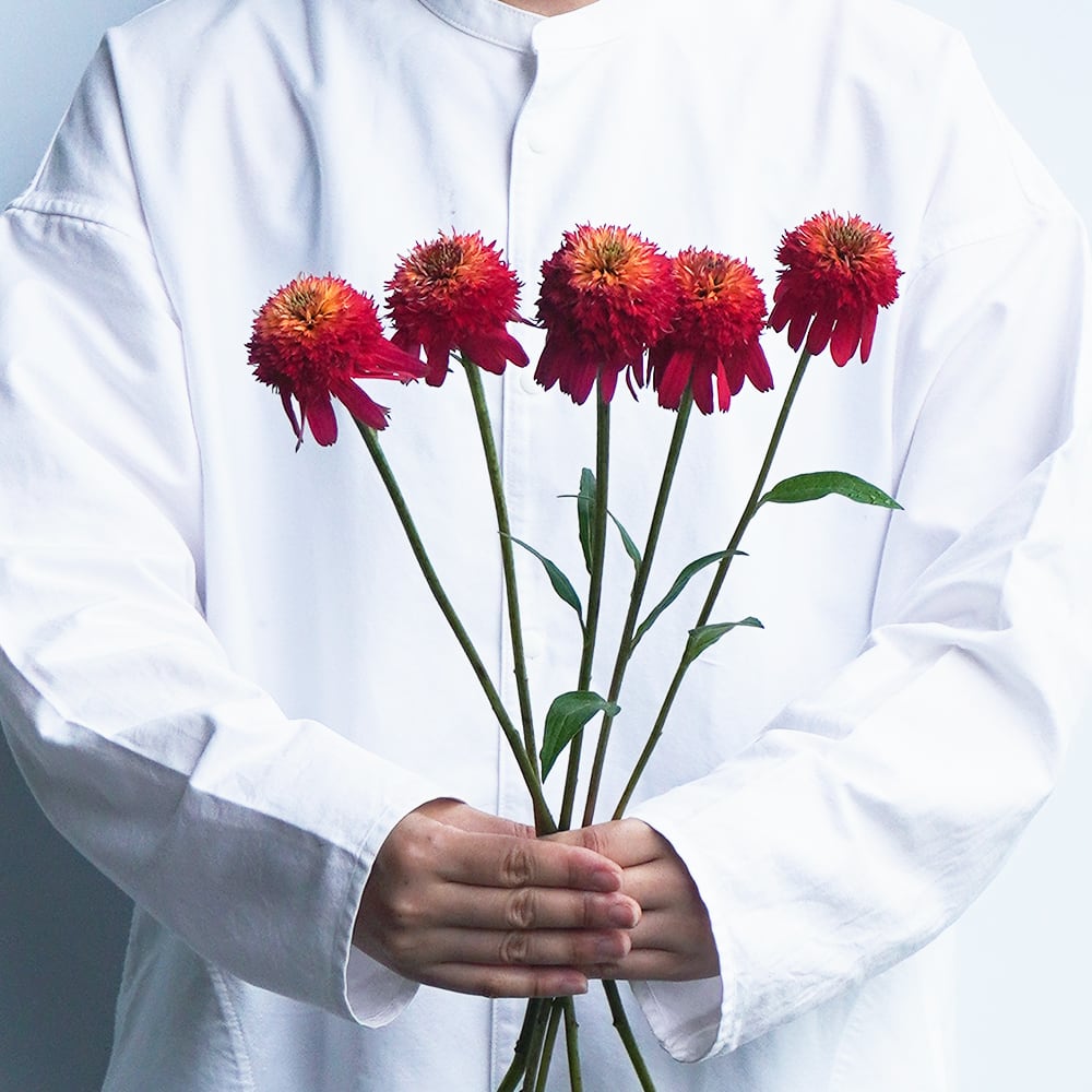 エキナセア サマーレッド 5本 送料込 よいはな Yoihana 最高品質のお花をお届けするネット通販 エキナセア サマーレッド 5本 送料込 よいはな Yoihana 最高品質のお花をお届けするネット通販