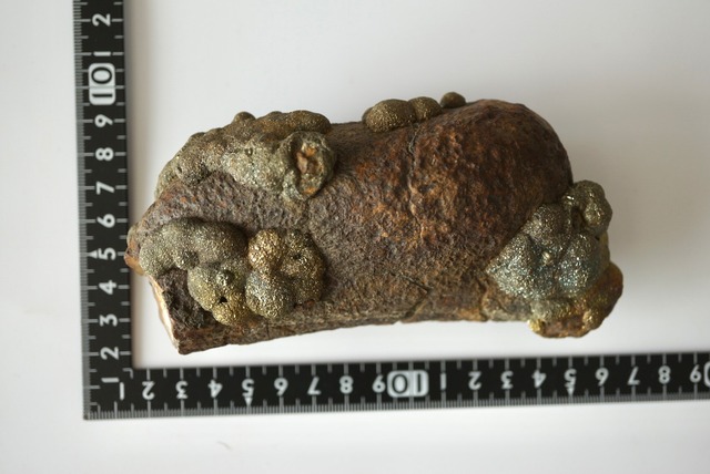 パキスタン産レインボーパイライト 特大 Pyrite/Marcasite 1236