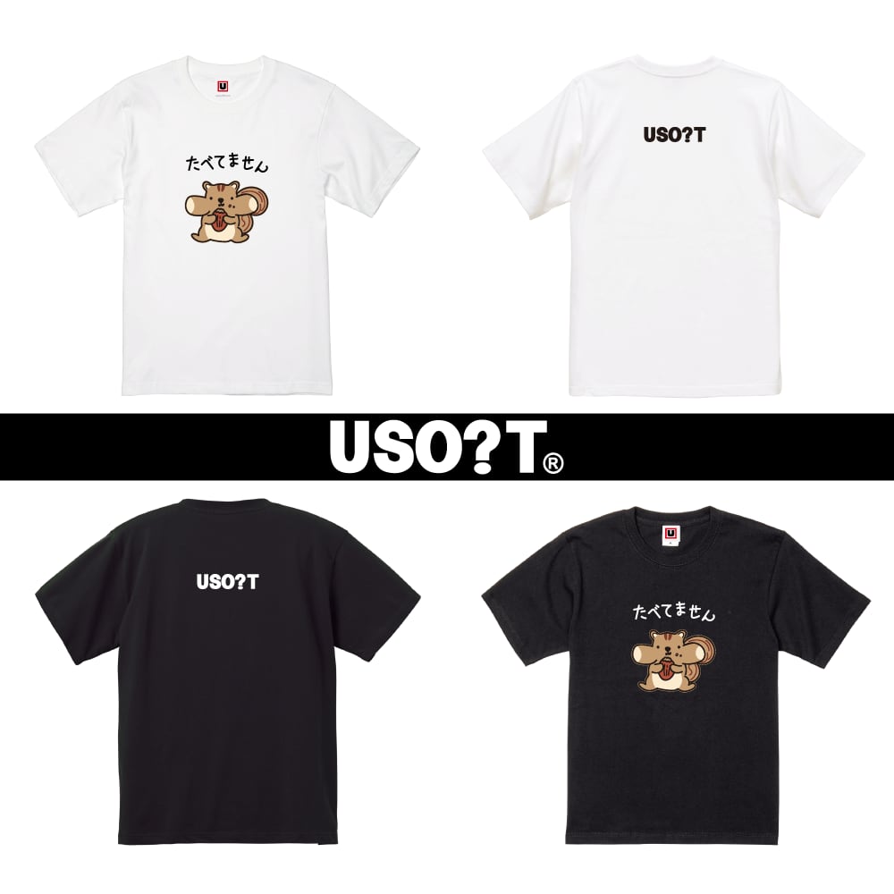 うさこ様　Tシャツとズボン　100と120 うさこ様 Tシャツとズボン 100と120 後光ドコうさ / ドコムス