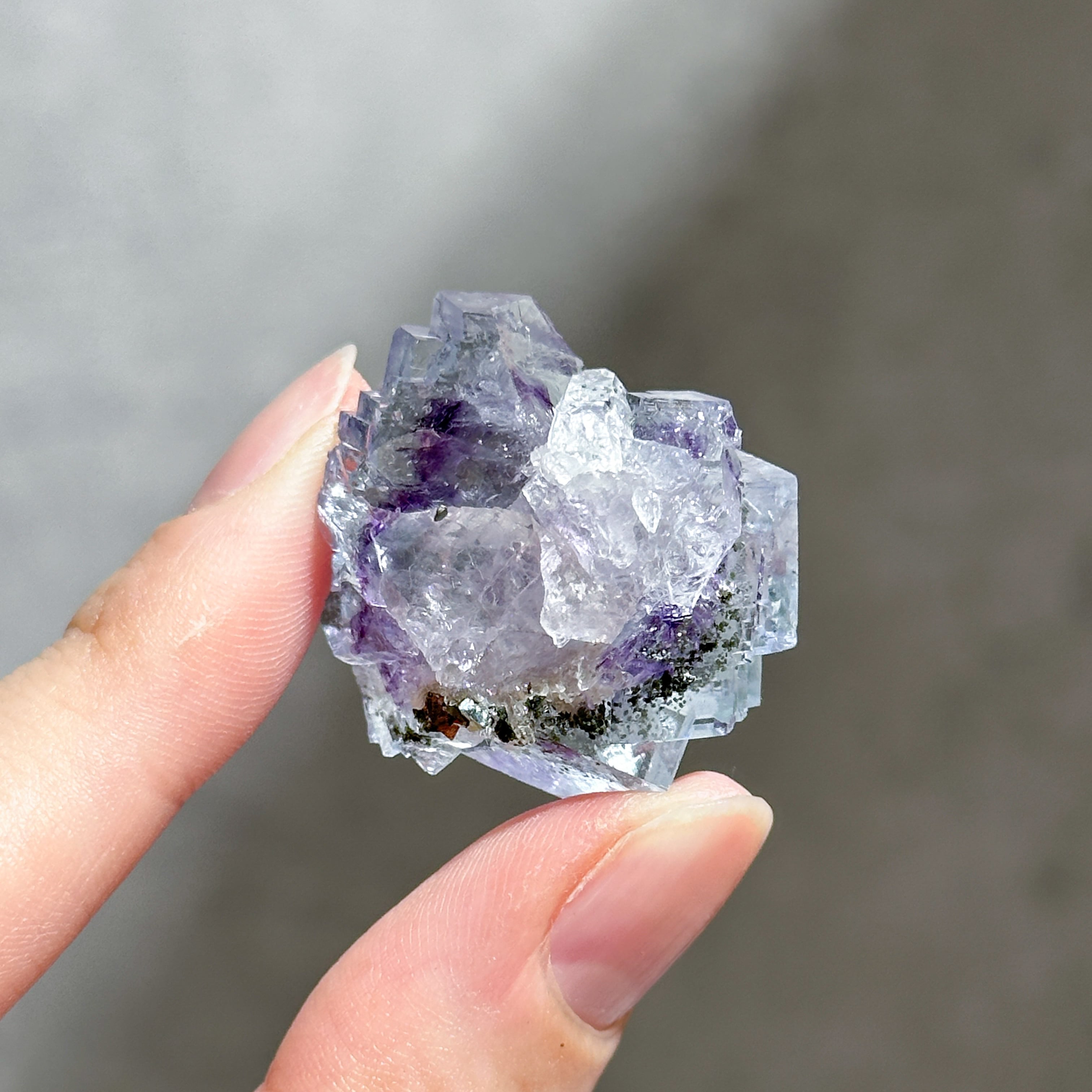 パイライト付◎蛍光◎ヤオガンシャン産フローライト 原石13◇ Fluorite
