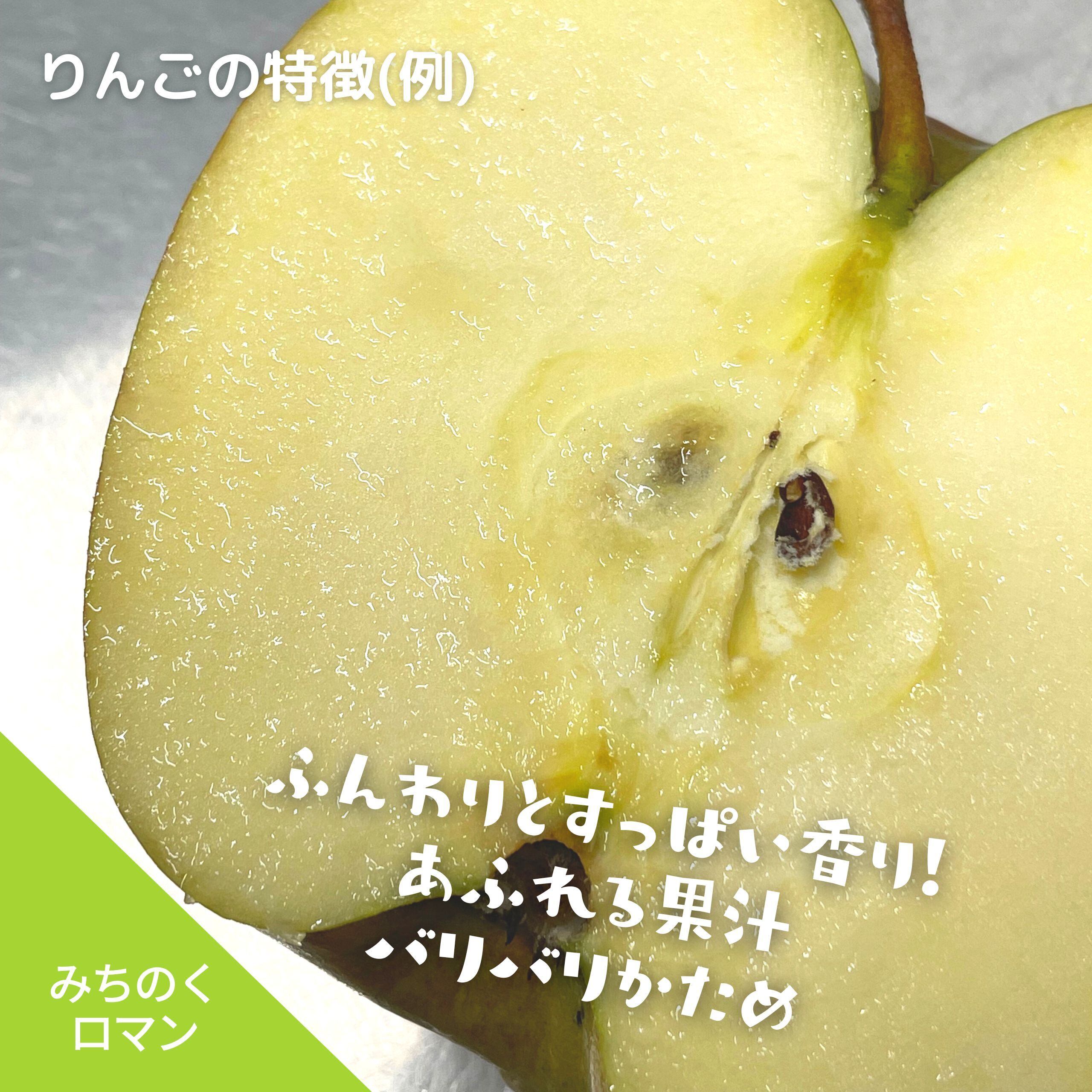 味の変化を楽しむ すっぱいりんご2種 ピンクレディー みちのくロマン 合計約2 8キロ 発送日選択 配送料込 すっぱい林檎の専門店