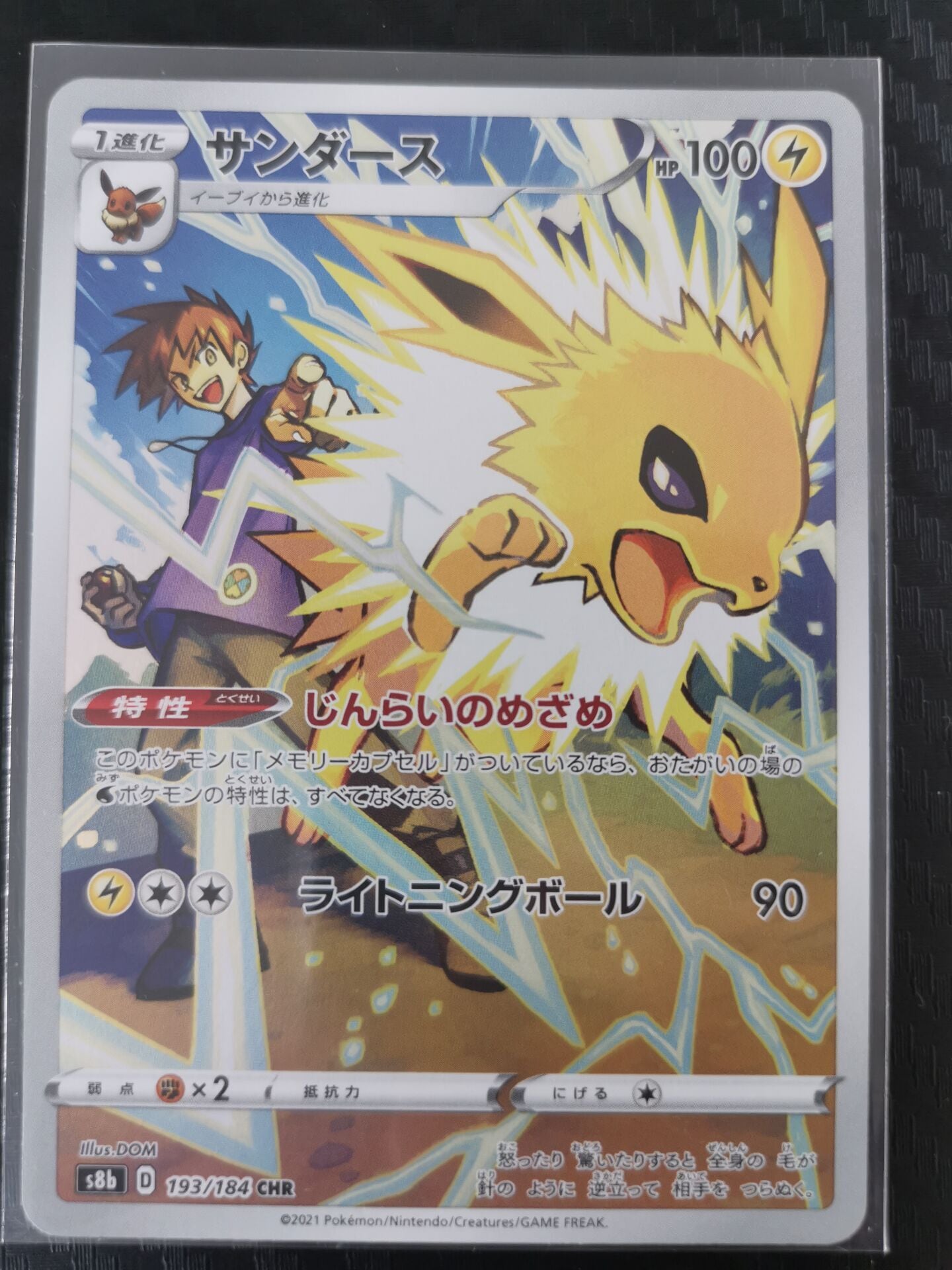 ポケモンカードゲーム S8b 193/184 サンダース 雷 (CHR キャラクター
