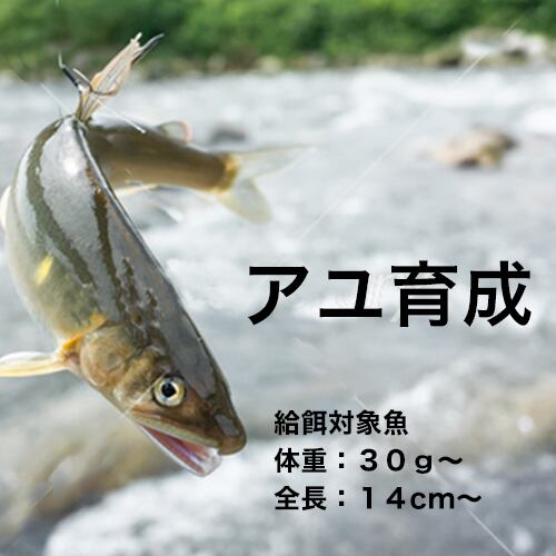 ハイジャンプ 6キロ うなぎの餌 ウナギの餌 鰻の餌 鰻用 練り