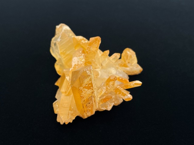 クラスター（アーカンソーゴールデンヒーラー）