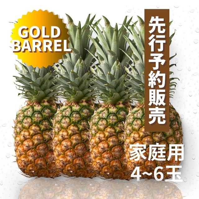 【予約商品・順次ご発送】沖縄東村産ブランドパイン 『ゴールドバレル』家庭用4〜6玉 約9kg