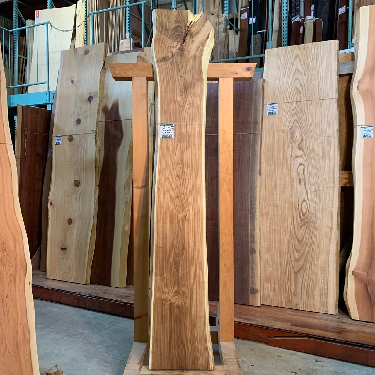 槐　一枚板　希少‼️ 槐 一枚板 希少‼️ 【公式通販】