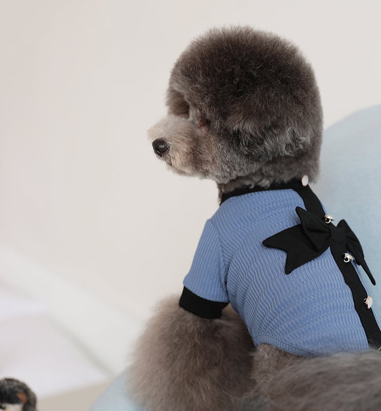 Onz Ribbon Knit T-shirt S ~ XL 4color / 犬服 新作 ニット 可愛い 犬の服 Tシャツ リボン トップス お揃い ドッグウェア b54