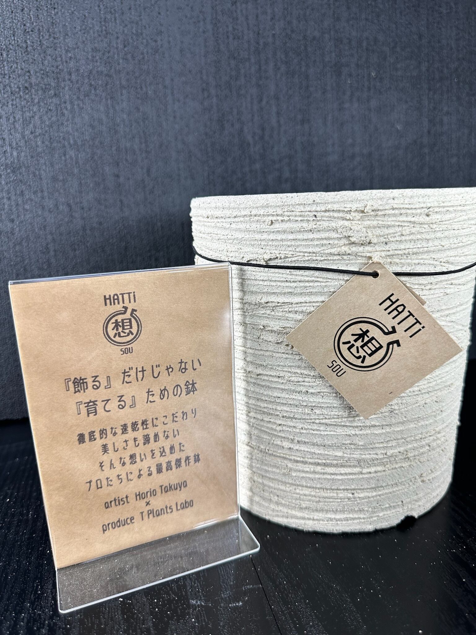 オリジナル陶器鉢【HATTi】5号 白 模様タイプ | T Plants Labo