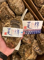 特大　岩牡蠣　5個入り4kg〜5kg