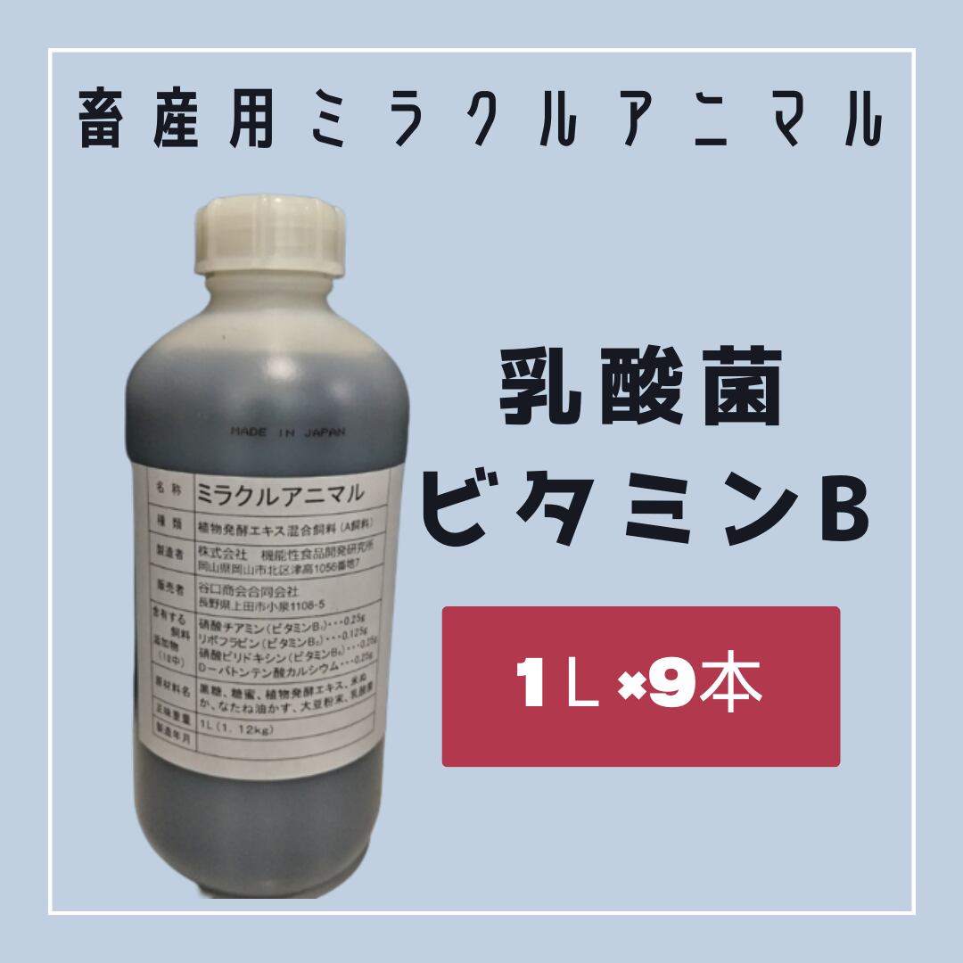 キャップ BonTonフレッシュ 乳酸菌飲料 K.K.愛光舎工場 (訳あり) 畜産用 ミラクルアニマル 9L 乳酸菌 ビタミンB 植物発酵エキス