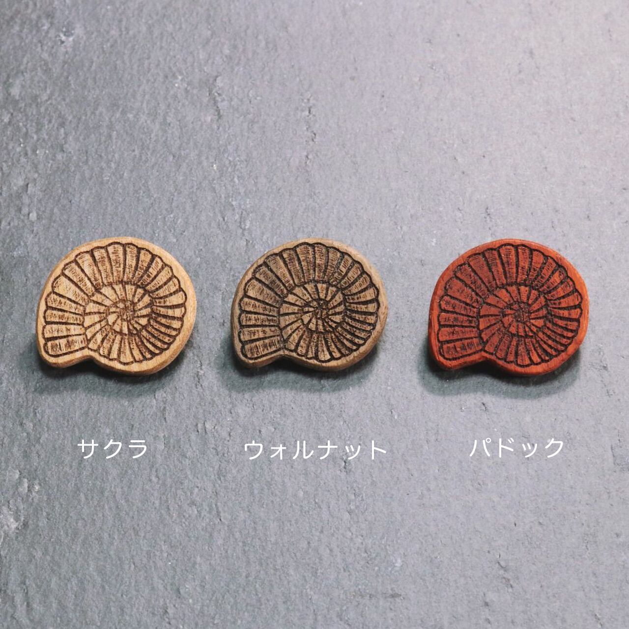 アンモナイト化石 木製ブローチ〈樹種：サクラ〉 | 樹源 ‐KiGen‐